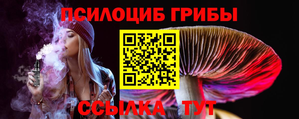 Галлюциногенные грибы мицелий Барнаул
